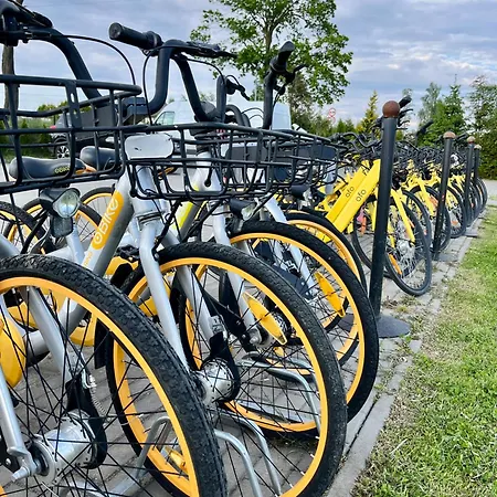 Słonecznikowa Dolina