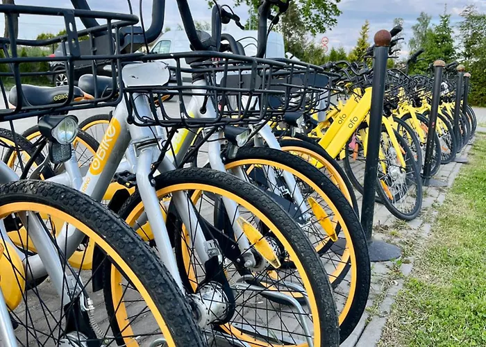 Slonecznikowa Dolina